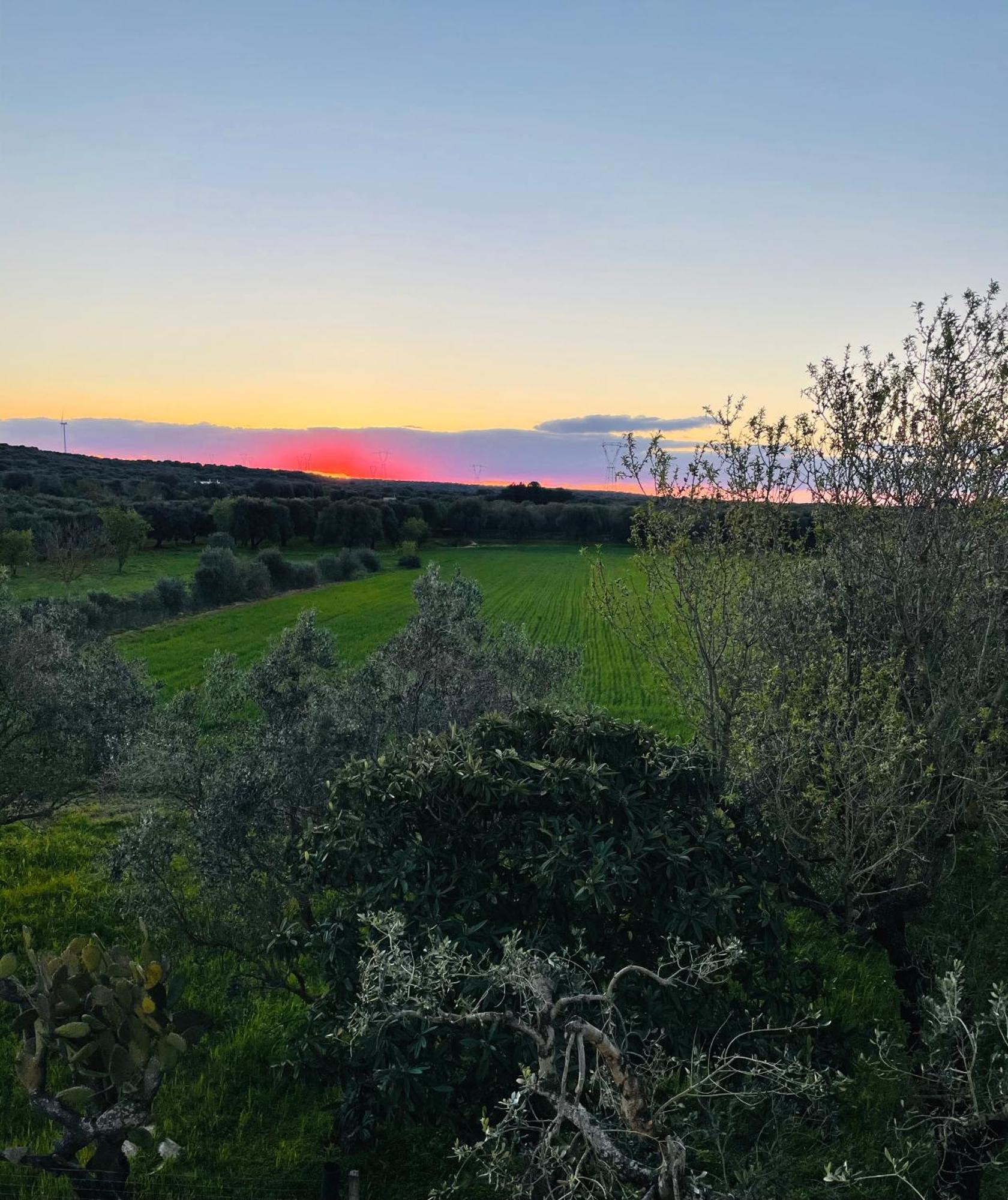 דירות Villa Castelli La Nicchia מראה חיצוני תמונה